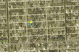 3517 20th St SW, Lehigh Acres, FL 33976 - Photo 3