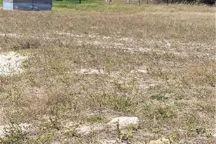 3217 NW 21st St, Cape Coral, FL 33993 - Photo 3