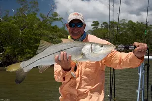 242 Newport Dr, Naples, FL 34114 - Photo 41