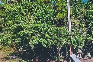 437 Lackey Ave S, Lehigh Acres, FL 33974 - Photo 5