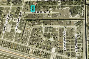 1021 Hatfield St, Lehigh Acres, FL 33974 - Photo 1