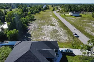 3514 NW 47th St, Cape Coral, FL 33993 - Photo 9