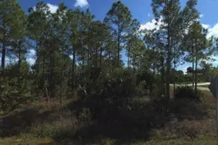 1100 Sheldon Ave, Lehigh Acres, FL 33936 - Photo 1