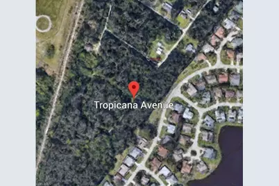 Tropicana Ave, Estero, FL 33928 - Photo 3