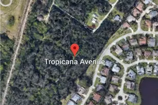 Tropicana Ave, Estero, FL 33928 - Photo 3
