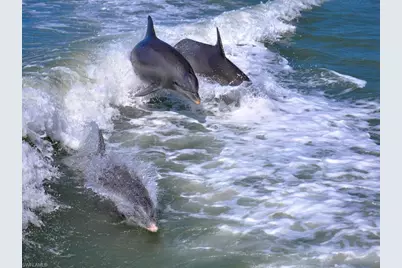 525 Newport Dr, Naples, FL 34114 - Photo 21