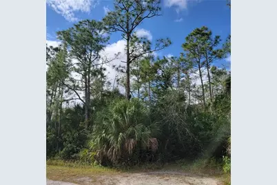 3011 2nd St NE, Naples, FL 34120 - Photo 3