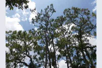 1704 Kings Lake Blvd #105, Naples, FL 34112 - Photo 31