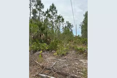 1014 Jackson Ave, Lehigh Acres, FL 33972 - Photo 5