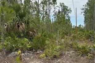 1014 Jackson Ave, Lehigh Acres, FL 33972 - Photo 5