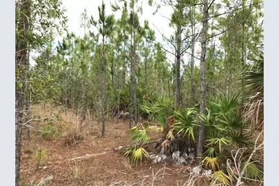 1014 Jackson Ave, Lehigh Acres, FL 33972 - Photo 3