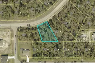 311 Woodburn Dr, Lehigh Acres, FL 33972 - Photo 1