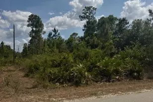 3102 East 10th Street, Lehigh Acres, FL 33972 - Photo 3