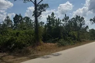 3102 East 10th Street, Lehigh Acres, FL 33972 - Photo 5