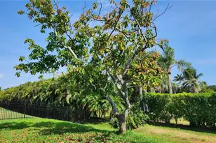 16962 Colony Lakes Blvd, Fort Myers, FL 33908 - Photo 23