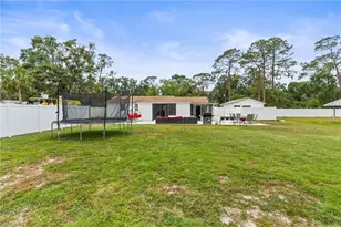 4411 Rose St, Valrico, FL 33596 - Photo 37