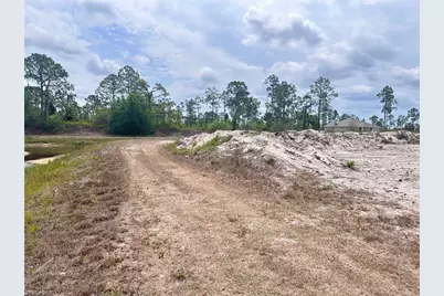 1033 Joponica Ave S, Lehigh Acres, FL 33974 - Photo 3