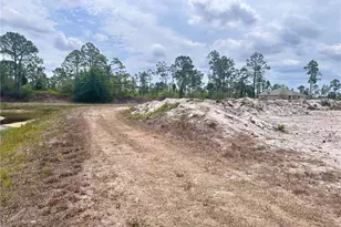 1033 Joponica Ave S, Lehigh Acres, FL 33974 - Photo 3