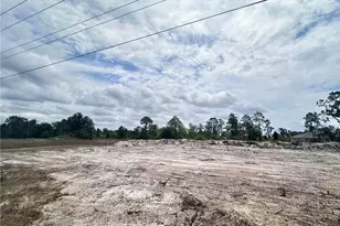 1033 Joponica Ave S, Lehigh Acres, FL 33974 - Photo 9