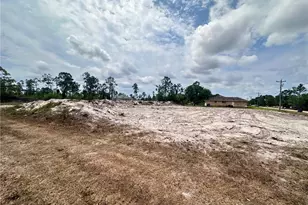 1033 Joponica Ave S, Lehigh Acres, FL 33974 - Photo 1