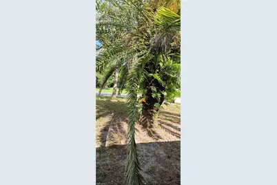 315 Cleveland Ave, Lehigh Acres, FL 33936 - Photo 41