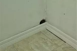 315 Cleveland Ave, Lehigh Acres, FL 33936 - Photo 35