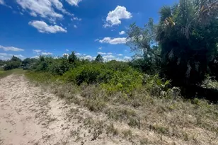 2901 55th St W, Lehigh Acres, FL 33971 - Photo 5