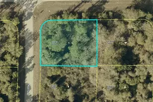 119 Fox Ave S, Lehigh Acres, FL 33974 - Photo 7