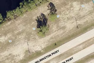 31 Wilmington Pkwy, Cape Coral, FL 33993 - Photo 3