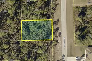 458 Columbus Blvd S, Lehigh Acres, FL 33974 - Photo 3