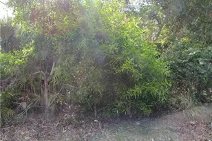 12348 Dolphin Rd, Bokeelia, FL 33922 - Photo 3