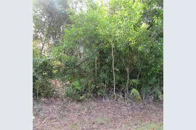 12348 Dolphin Rd, Bokeelia, FL 33922 - Photo 5