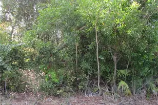 12348 Dolphin Rd, Bokeelia, FL 33922 - Photo 5