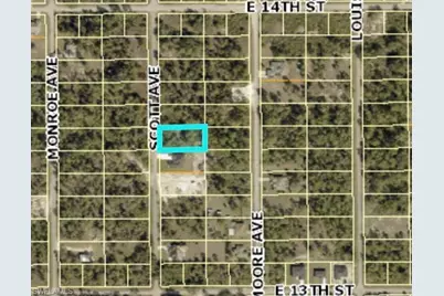 1312 Scott Ave, Lehigh Acres, FL 33972 - Photo 5