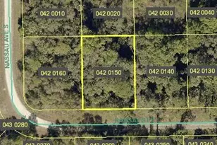 1211 Ramsay St E, Lehigh Acres, FL 33974 - Photo 1