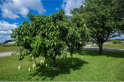 1115 Comet Ave, Labelle, FL 33935 - Photo 11