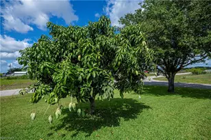 1115 Comet Ave, Labelle, FL 33935 - Photo 11