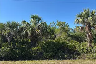 14006 Luxo Ave, Port Charlotte, FL 33953 - Photo 1
