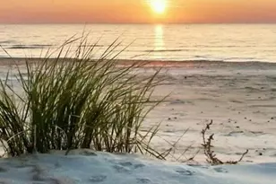 18038 San Carlos Blvd, Fort Myers Beach, FL 33931 - Photo 49