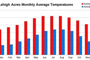 309 Lubdel Ave S, Lehigh Acres, FL 33974 - Photo 3