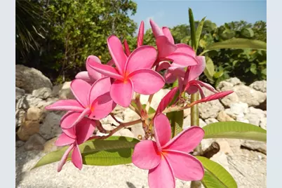 21521 Widgeon Ter, Fort Myers Beach, FL 33931 - Photo 49