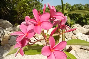 21521 Widgeon Terrace, Fort Myers Beach, FL 33931 - Photo 49