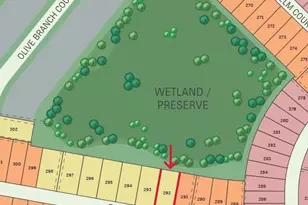 7393 Blue Salvia Dr, North Fort Myers, FL 33917 - Photo 11