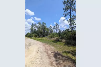 249 Andalucia Ave S, Lehigh Acres, FL 33974 - Photo 5