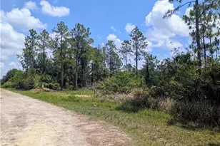 249 Andalucia Ave S, Lehigh Acres, FL 33974 - Photo 5