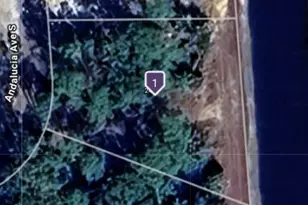 249 Andalucia Ave S, Lehigh Acres, FL 33974 - Photo 3