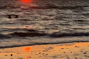 14827 Edgewater Cir, Naples, FL 34114 - Photo 31