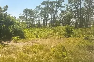 8234 Dimstead St, Port Charlotte, FL 33981 - Photo 1