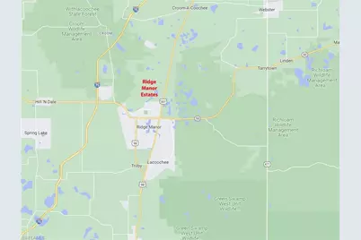 7398 Southeast Ave, Ridge Manor Estates, FL 33597 - Photo 7