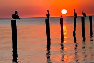 7360 Estero Blvd, Fort Myers Beach, FL 33931 - Photo 35